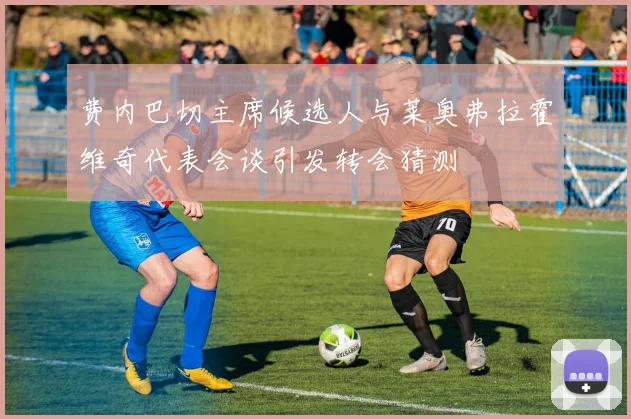 费内巴切主席候选人与莱奥弗拉霍维奇代表会谈引发转会猜测