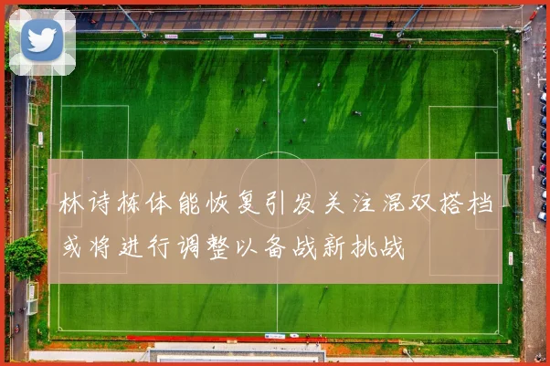 林诗栋体能恢复引发关注混双搭档或将进行调整以备战新挑战